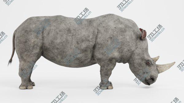 images/goods_img/20210312/3D White Rhinoceros Rigged model/2.jpg